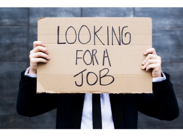 Job Opportunities Near Me 1,000 Jobs Near Brick; Find Your New One Today