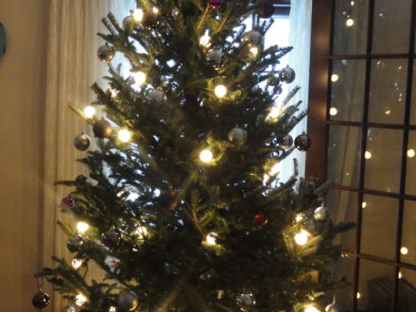 where to find christmas trees in plymouth plymouth mn patch where to find christmas trees in plymouth plymouth mn patch
