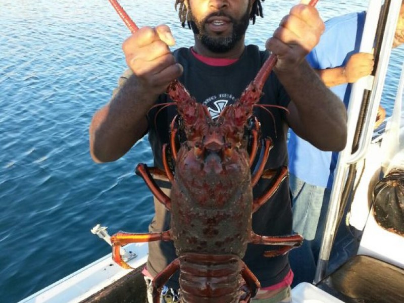 Lobster Season Opens Saturday Redondo Beach, CA Patch