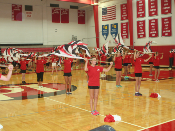 peters township dance team