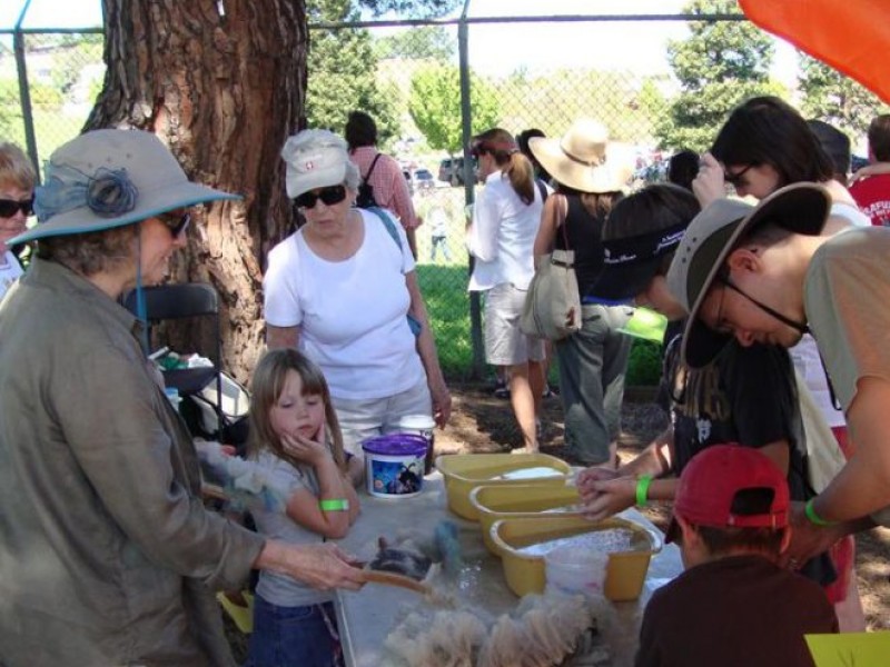 Sheep Shearing Day at Forest Home Farms - San Ramon, CA Patch