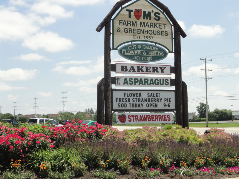 UPick Strawberry Season Starts at Tom's Farm Market Huntley, IL Patch