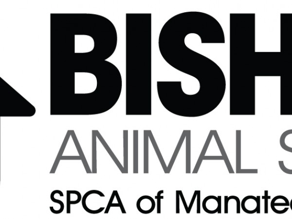 Black Friday Adoption Special at Bishop Animal Shelter - Bradenton, FL