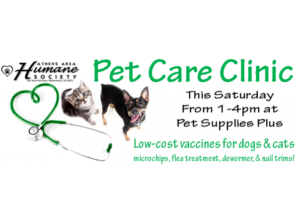 Denton Low Cost Pet Sterilization And Vaccination Program