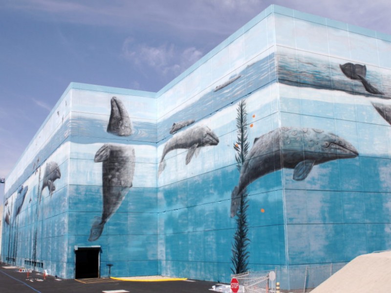 Wyland Restoring Whaling Wall Redondo Beach Ca Patch