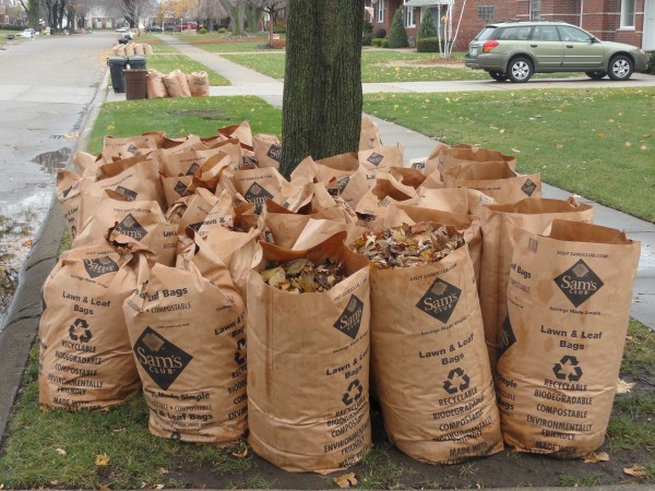 When Does Yard Waste Pickup Resume in Newton? - Newton, MA Patch