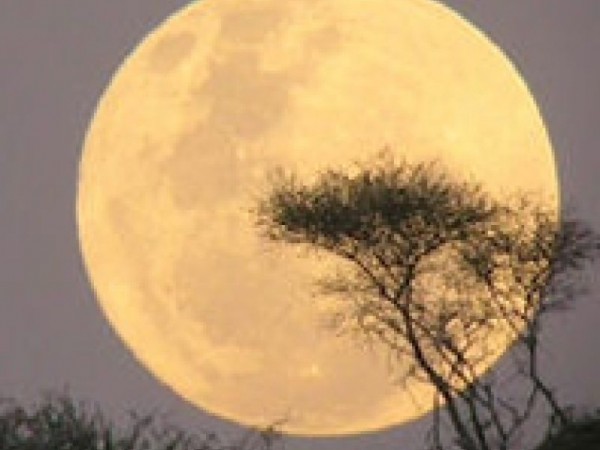 Rare ‘Super Moon' Rising This Weekend