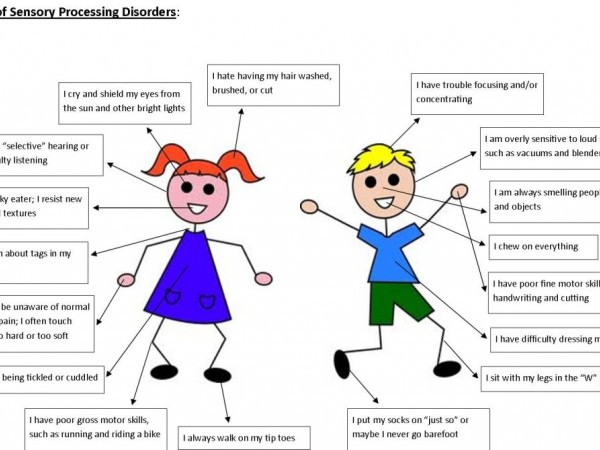 Sensory perceptions essay