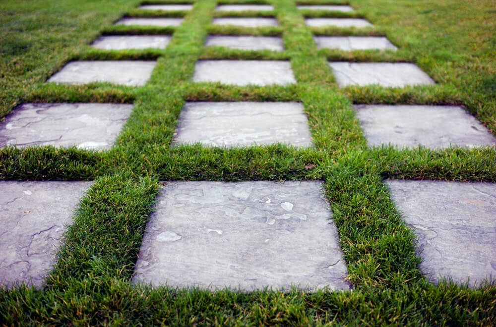 Lawn Mowing and Trimming