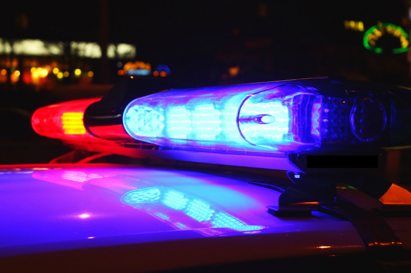 Er Cane Beating Alleged Taco Bell Robber Climbs Out Er Cane Beating Alleged Taco Bell Robber Climbs Out