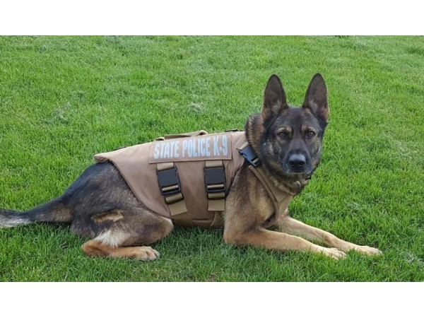 Troop H Police Dog Gets Bullet-Proof Vest - Berlin, CT Patch