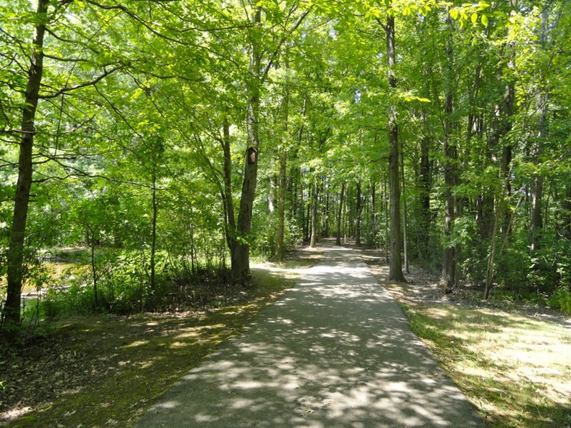 A Walk in The Woods at Bradley Nature Park Westlake, OH Patch