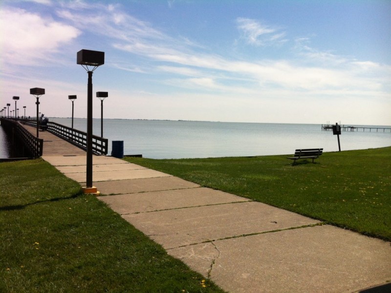 Photos of the Day For the Birds at Brandenburg Park New Baltimore