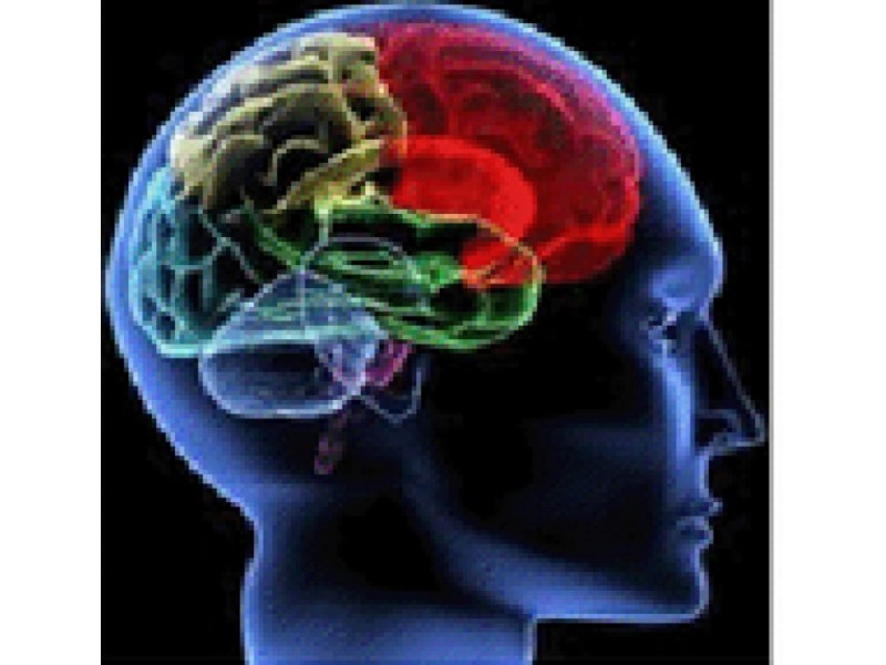 West Bloomfield Doctor Offers Alternative Treatment for ADD/ADHD and Anxiety