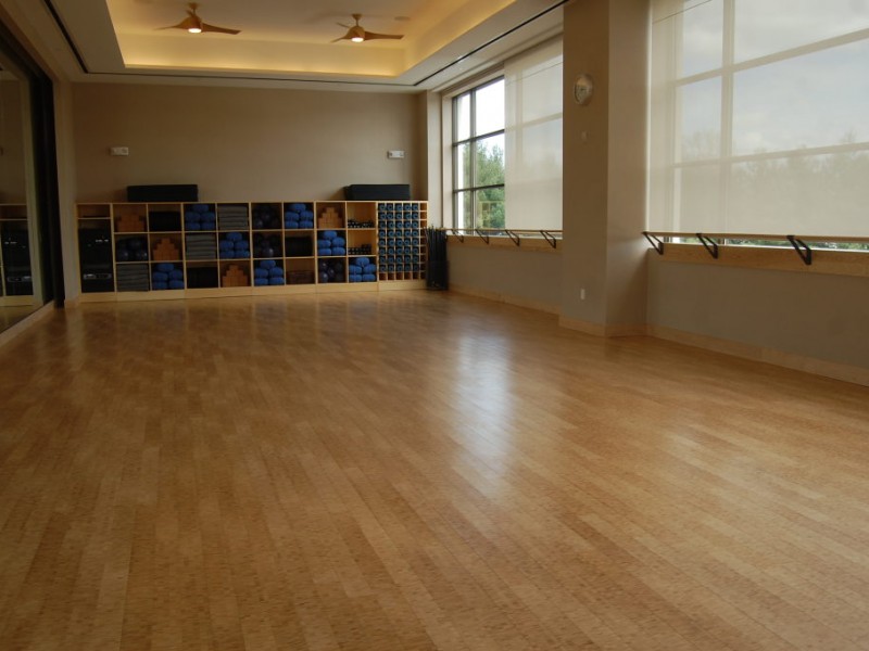equinox fitness new york