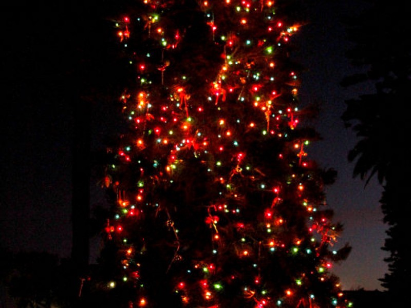 Photos Santa Visits La Jolla Christmas Parade La Jolla, CA Patch