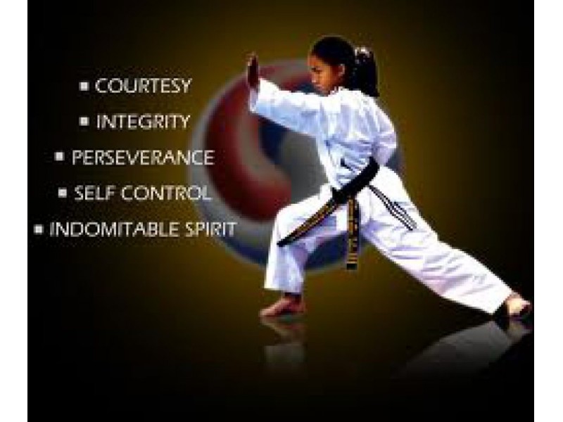 What Is Indomitable Spirit – INDOMITABLE – JLQSS