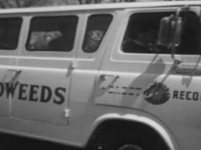 Remember the Wildweeds of Windsor? | Manchester, CT Patch