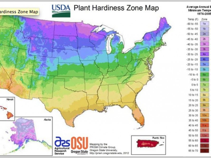 USDA Plant Hardiness Zone Map Collingswood, NJ Patch