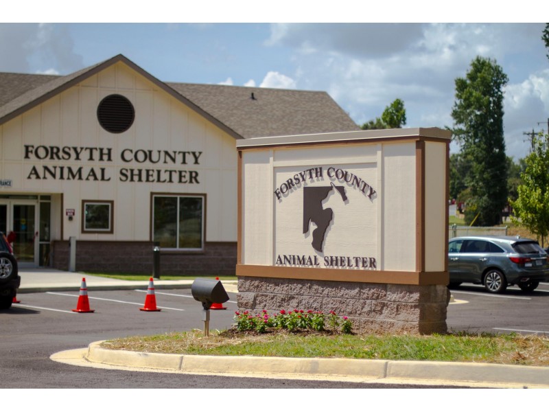 Forsyth county animal shelter seeks volunteers cumming ga patch