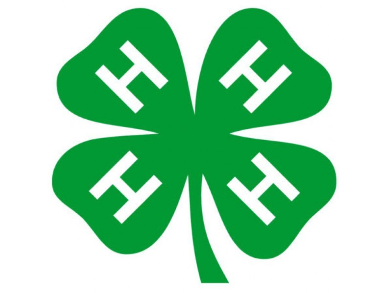 Cobb County 4H Offers Info on Clubs Kennesaw, GA Patch