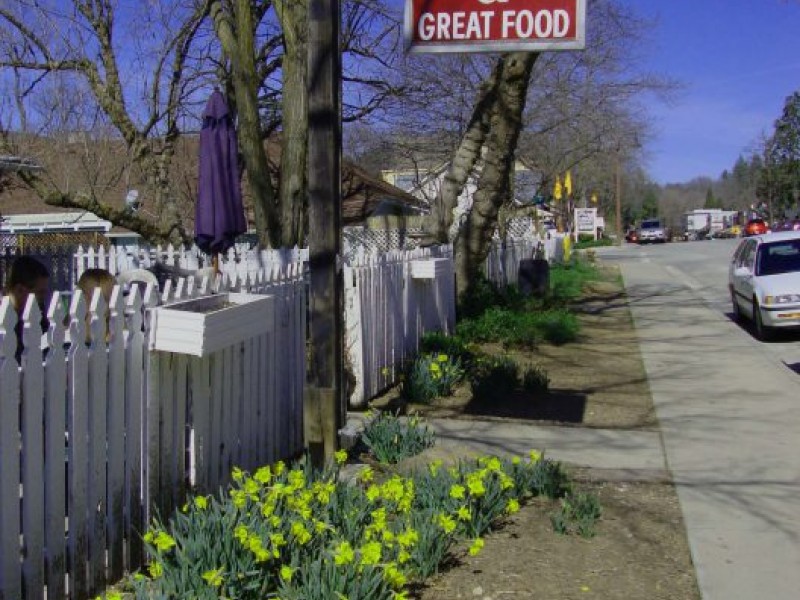 Spring in Julian—Daffodils Are Blooming Ramona, CA Patch