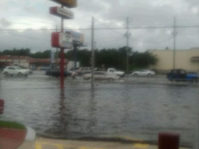 Street Flooding Reported in West Pasco New Port Richey, FL Patch