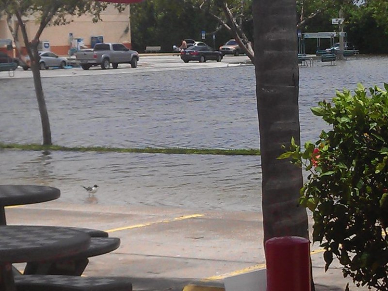 Street Flooding Reported in West Pasco New Port Richey, FL Patch