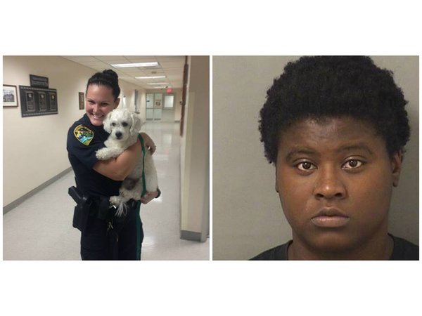 Dog Sitter Sold Pooch On Craigslist Cops Say Brandon Fl Patch Dog Sitter Sold Pooch On Craigslist Cops Say