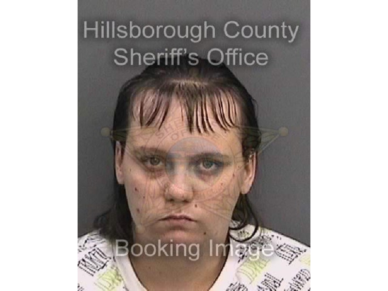 Craigslist tampa fl hillsborough county