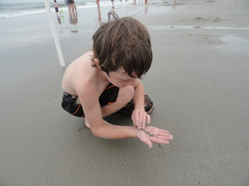 'Swimming Through Gummy Bears:' Salps Hits the Shore ...