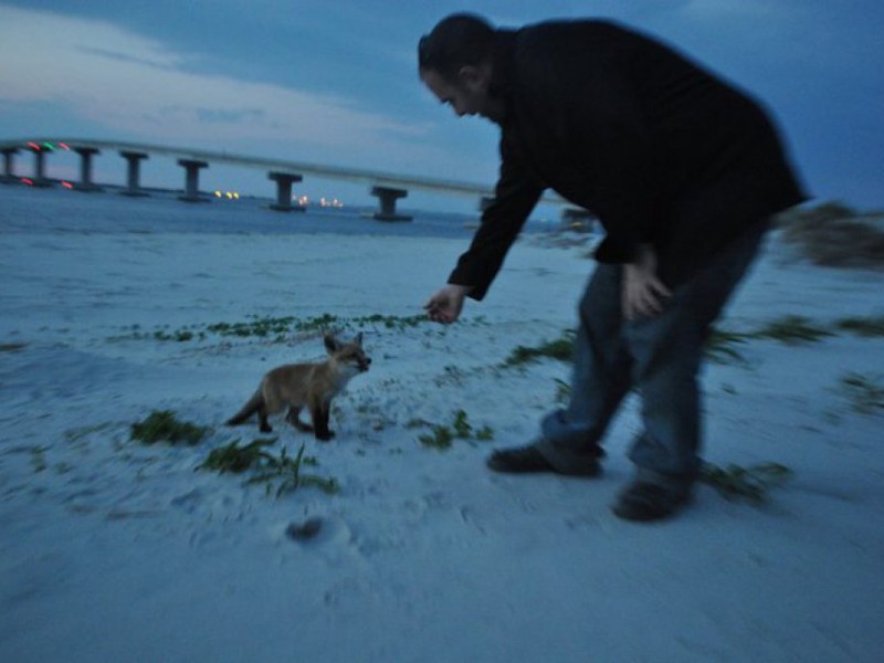 homes for sale in ocean acres manahawkin nj