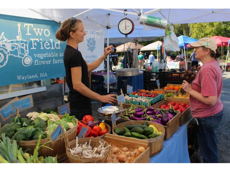 Wayland Farmers' Market Opens Tomorrow Sudbury, MA Patch