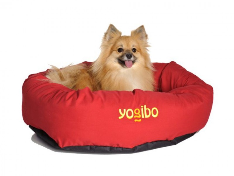Yogibo Eco friendly pet beds Natick, MA Patch