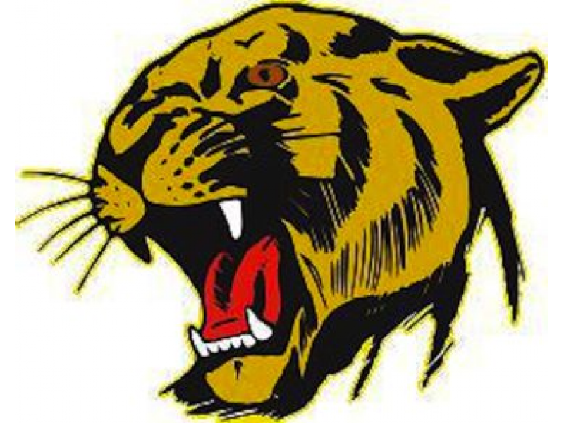 Teacher Urges CUSD to Rehire Capo Valley Football Coach Chi Chi Biehn