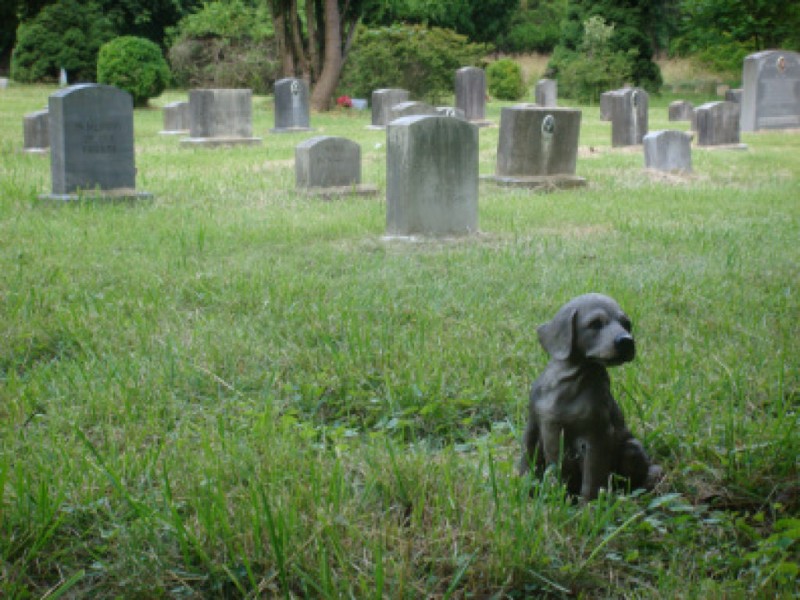 Pet Cemetery in Aspen Hill Competes for Historic Preservation Funds