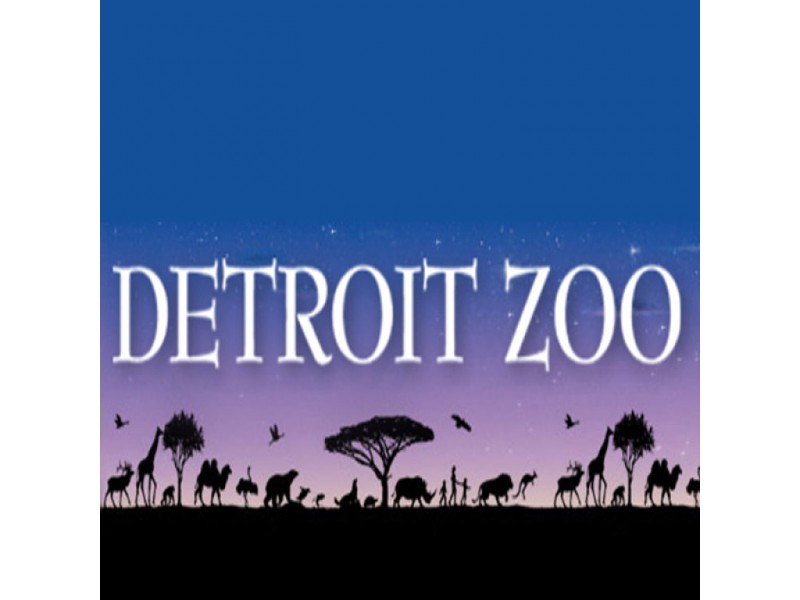 Chief Program Officer Says "Yes" to Detroit Zoological Society Royal