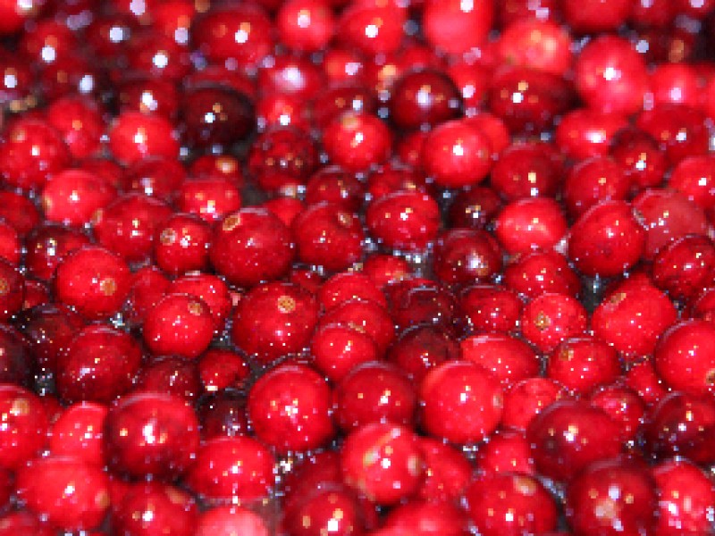 Cranberry Cherry Relish Perfect for the Holidays | Northeast Cobb, GA Patch