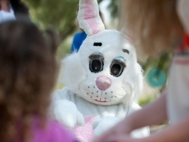 Free Pictures Taken With Easter Bunny 21