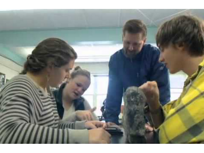 Special education jobs in nashua nh