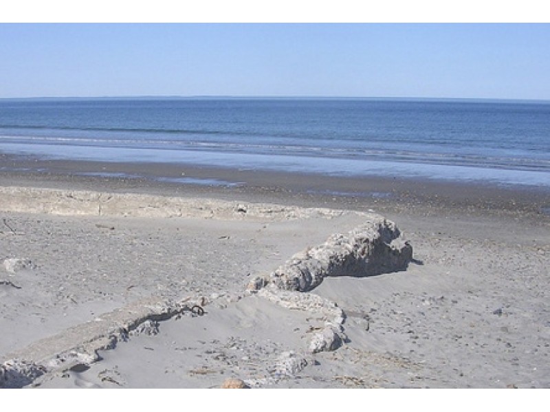 Body Washes Ashore on Nantasket Beach Plymouth, MA Patch