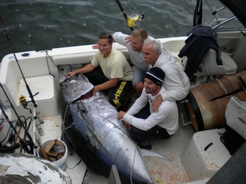 Giant Tuna Fishing from a Small Boat Barnstable, MA Patch