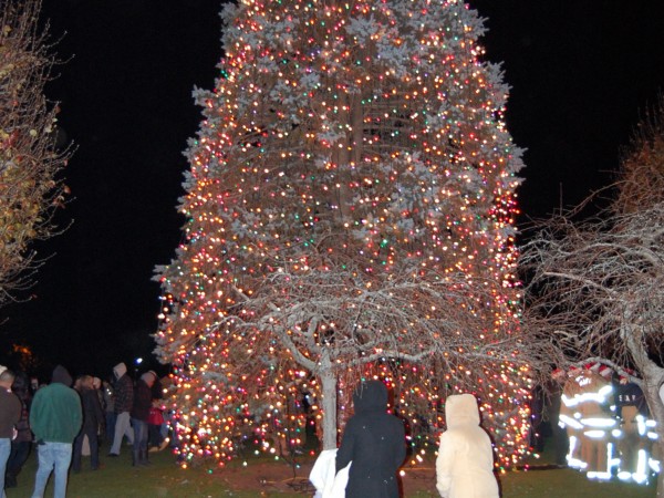 christmas tree shop riverhead christmas tree stands christmas tree shop riverhead christmas tree stands