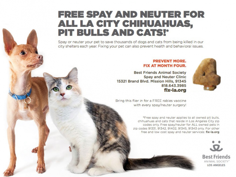 32 Top Pictures Free Spay And Neuter For Cats - SPCA for Monterey County hosting free feral cat spay ...