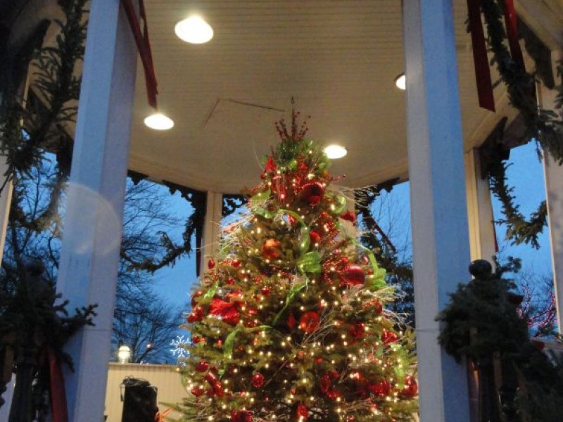 where to find a christmas tree near cleveland heights where to find a christmas tree near cleveland heights