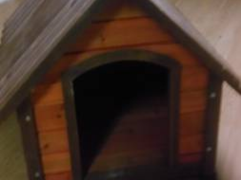 Tosa Craigslist Finds: Wine Press, Favre Clock | Wauwatosa ...