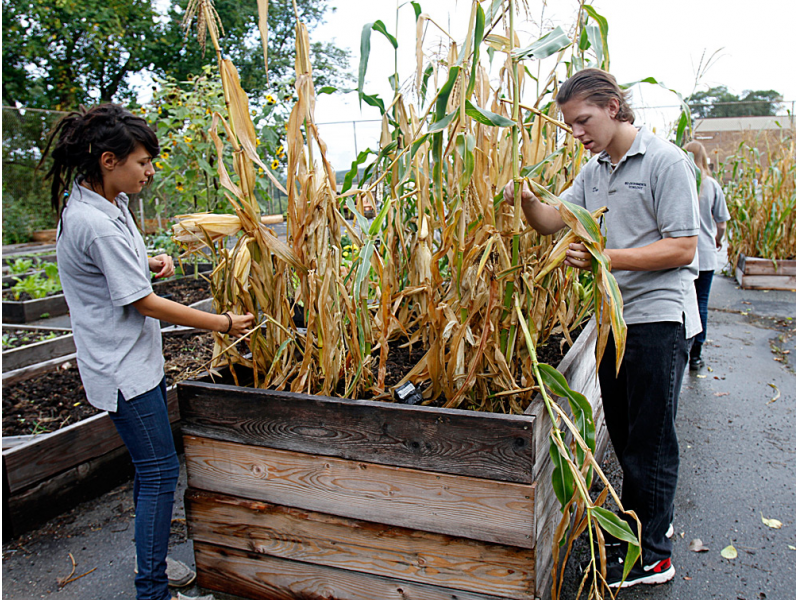 Grasso Tech Hosts Farm to Chef Week with Very Local Ingredients