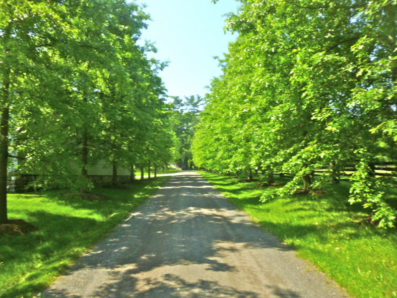 Check out the BMGC tour of Martha Stewart's Cantitoe Corners Farm