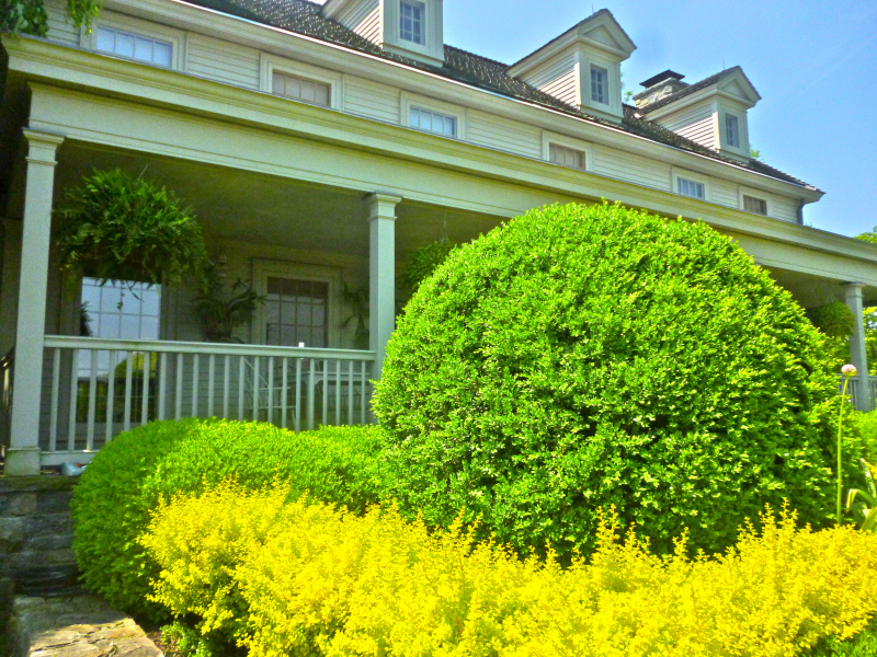 Check out the BMGC tour of Martha Stewart's Cantitoe Corners Farm