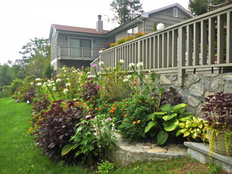 End of the Summer Garden Tips & View a Beautiful Briarcliff Manor Garden! Pleasantville, NY Patch